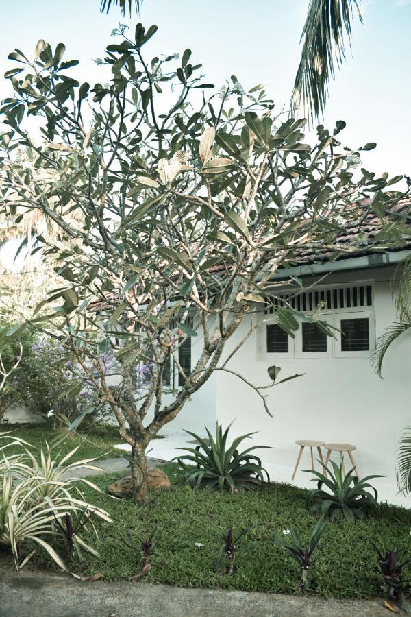 Casa Gitano Hotel Ahangama Exterior photo